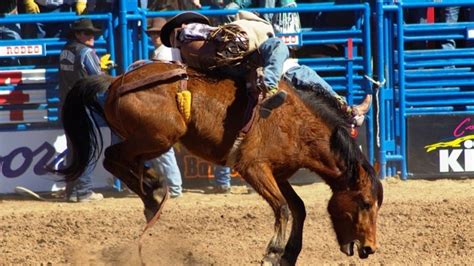 angola rodeo tickets